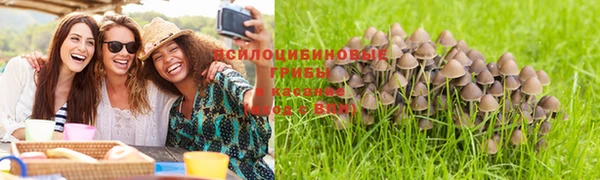 герыч Покровск