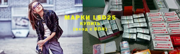 индика Приозерск