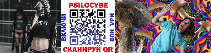 Купить где  Ульяновск  Галлюциногенные грибы Psilocybine cubensis 