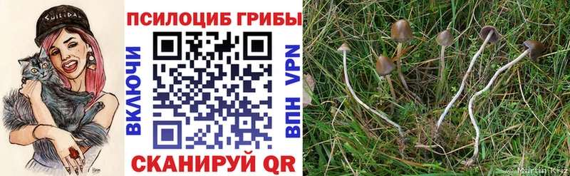 Псилоцибиновые грибы MAGIC MUSHROOMS Ульяновск